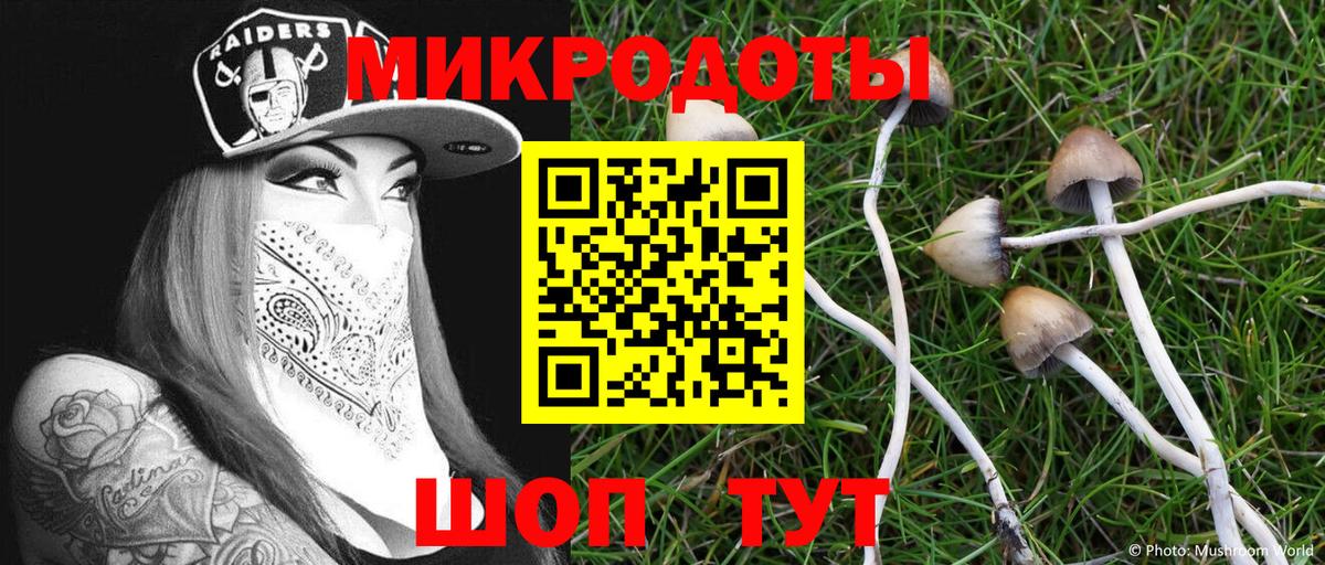 Малгобек  магазин продажи   Вход с VPN  Галлюциногенные грибы мицелий 