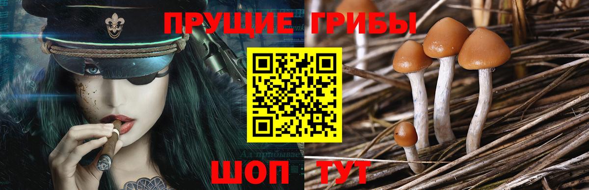 Галлюциногенные грибы ЛСД Малгобек